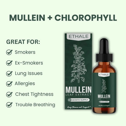 Herbal Mullein Lung Drops