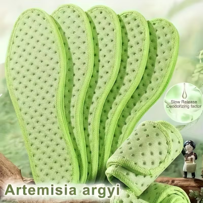 Mugwort Herbal Pain Relief Insoles